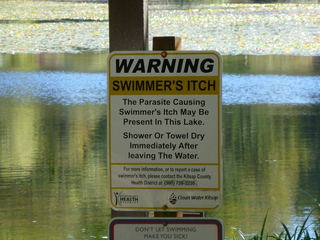 Filename=P1090204.JPG
Filesize=5688KiB
Dimensions=4320x3240
Date added=Sep 28, 2020 P1090204.JPG