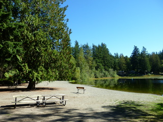 Filename=P1090206.JPG
Filesize=5371KiB
Dimensions=4320x3240
Date added=Sep 28, 2020 P1090206.JPG