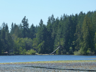 Filename=P1090211.JPG
Filesize=5564KiB
Dimensions=4320x3240
Date added=Sep 28, 2020 P1090211.JPG