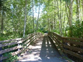 Filename=P1090213.JPG
Filesize=5933KiB
Dimensions=4320x3240
Date added=Sep 28, 2020 P1090213.JPG