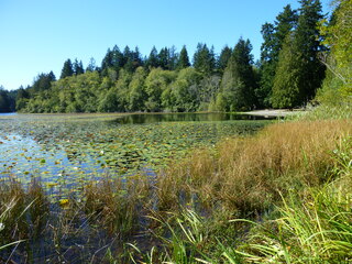 Filename=P1090220.JPG
Filesize=5729KiB
Dimensions=4320x3240
Date added=Sep 28, 2020 P1090220.JPG