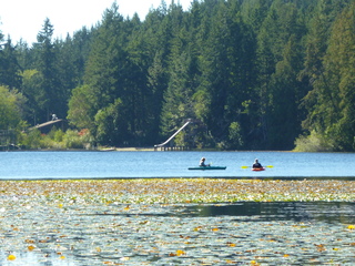 Filename=P1090223.JPG
Filesize=6033KiB
Dimensions=4320x3240
Date added=Sep 28, 2020 P1090223.JPG