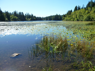 Filename=P1090224.JPG
Filesize=5454KiB
Dimensions=4320x3240
Date added=Sep 28, 2020 P1090224.JPG