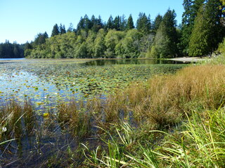 Filename=P1090225.JPG
Filesize=5729KiB
Dimensions=4320x3240
Date added=Sep 28, 2020 P1090225.JPG