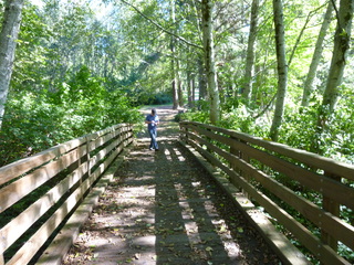 Filename=P1090228.JPG
Filesize=6123KiB
Dimensions=4320x3240
Date added=Sep 28, 2020 P1090228.JPG