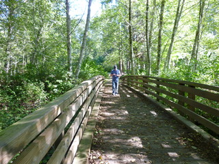 Filename=P1090229.JPG
Filesize=6013KiB
Dimensions=4320x3240
Date added=Sep 28, 2020 P1090229.JPG