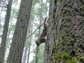 Filename=P1090237.JPG
Filesize=5836KiB
Dimensions=4320x3240
Date added=Oct 03, 2020 P1090237.JPG