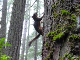 Filename=P1090238.JPG
Filesize=5694KiB
Dimensions=4320x3240
Date added=Oct 03, 2020 P1090238.JPG