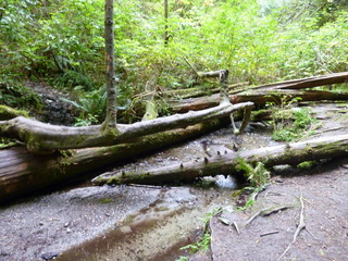 Filename=P1090245.JPG
Filesize=5935KiB
Dimensions=4320x3240
Date added=Oct 03, 2020 P1090245.JPG