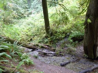 Filename=P1090251.JPG
Filesize=5492KiB
Dimensions=4320x3240
Date added=Oct 03, 2020 P1090251.JPG