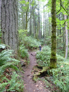 Filename=P1090253.JPG
Filesize=5000KiB
Dimensions=3240x4320
Date added=Oct 03, 2020 P1090253.JPG