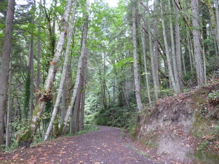 Filename=P1090259.JPG
Filesize=6339KiB
Dimensions=4320x3240
Date added=Oct 05, 2020 P1090259.JPG