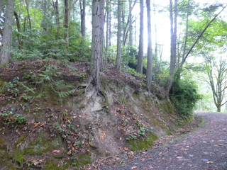 Filename=P1090260.JPG
Filesize=5768KiB
Dimensions=4320x3240
Date added=Oct 05, 2020 P1090260.JPG