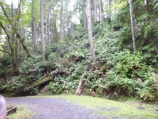 Filename=P1090262.JPG
Filesize=6206KiB
Dimensions=4320x3240
Date added=Oct 05, 2020 P1090262.JPG