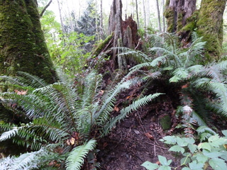 Filename=P1090269.JPG
Filesize=6031KiB
Dimensions=4320x3240
Date added=Oct 05, 2020 P1090269.JPG