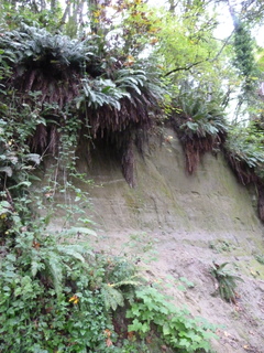 Filename=P1090271.JPG
Filesize=4694KiB
Dimensions=3240x4320
Date added=Oct 05, 2020 P1090271.JPG