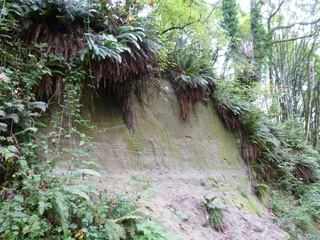 Filename=P1090273.JPG
Filesize=6026KiB
Dimensions=4320x3240
Date added=Oct 05, 2020 P1090273.JPG