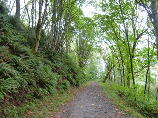 Filename=P1090274.JPG
Filesize=5589KiB
Dimensions=4320x3240
Date added=Oct 05, 2020 P1090274.JPG