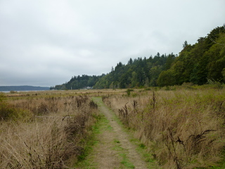 Filename=P1090282.JPG
Filesize=5582KiB
Dimensions=4320x3240
Date added=Oct 05, 2020 P1090282.JPG