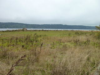 Filename=P1090283.JPG
Filesize=5744KiB
Dimensions=4320x3240
Date added=Oct 05, 2020 P1090283.JPG