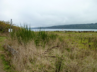 Filename=P1090284.JPG
Filesize=5862KiB
Dimensions=4320x3240
Date added=Oct 05, 2020 P1090284.JPG