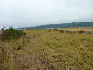 Filename=P1090285.JPG
Filesize=6075KiB
Dimensions=4320x3240
Date added=Oct 05, 2020 P1090285.JPG