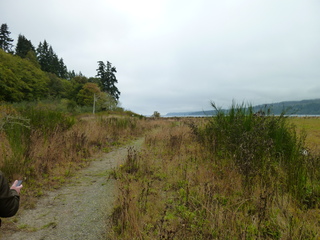 Filename=P1090286.JPG
Filesize=5963KiB
Dimensions=4320x3240
Date added=Oct 05, 2020 P1090286.JPG