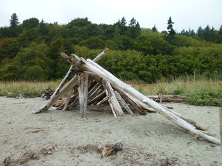 Filename=P1090287.JPG
Filesize=5766KiB
Dimensions=4320x3240
Date added=Oct 05, 2020 P1090287.JPG