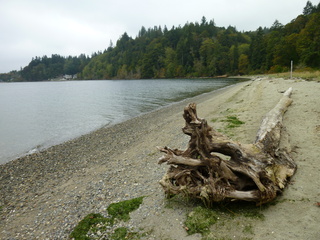 Filename=P1090288.JPG
Filesize=5651KiB
Dimensions=4320x3240
Date added=Oct 05, 2020 P1090288.JPG