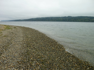 Filename=P1090289.JPG
Filesize=5677KiB
Dimensions=4320x3240
Date added=Oct 05, 2020 P1090289.JPG