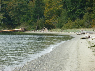 Filename=P1090292.JPG
Filesize=5857KiB
Dimensions=4320x3240
Date added=Oct 05, 2020 P1090292.JPG