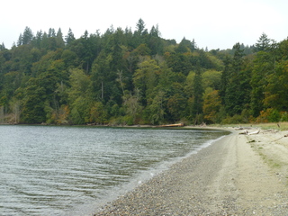 Filename=P1090293.JPG
Filesize=5598KiB
Dimensions=4320x3240
Date added=Oct 05, 2020 P1090293.JPG