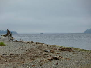 Filename=P1090294.JPG
Filesize=5179KiB
Dimensions=4320x3240
Date added=Oct 05, 2020 P1090294.JPG