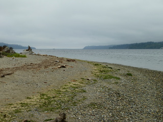 Filename=P1090295.JPG
Filesize=5852KiB
Dimensions=4320x3240
Date added=Oct 05, 2020 P1090295.JPG