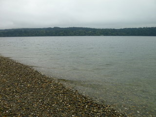 Filename=P1090296.JPG
Filesize=5781KiB
Dimensions=4320x3240
Date added=Oct 05, 2020 P1090296.JPG