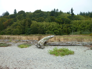 Filename=P1090298.JPG
Filesize=5945KiB
Dimensions=4320x3240
Date added=Oct 05, 2020 P1090298.JPG