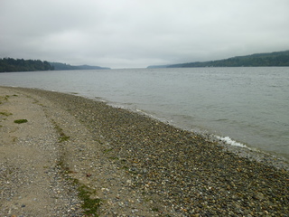 Filename=P1090301.JPG
Filesize=5841KiB
Dimensions=4320x3240
Date added=Oct 05, 2020 P1090301.JPG