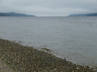 Filename=P1090302.JPG
Filesize=5362KiB
Dimensions=4320x3240
Date added=Oct 05, 2020 P1090302.JPG