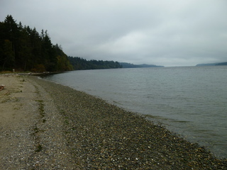 Filename=P1090305.JPG
Filesize=5466KiB
Dimensions=4320x3240
Date added=Oct 05, 2020 P1090305.JPG