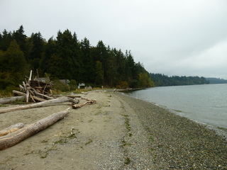 Filename=P1090306.JPG
Filesize=5756KiB
Dimensions=4320x3240
Date added=Oct 05, 2020 P1090306.JPG