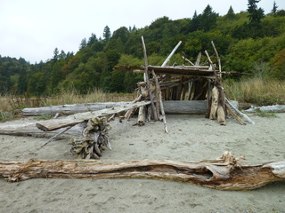 Filename=P1090307.JPG
Filesize=5755KiB
Dimensions=4320x3240
Date added=Oct 05, 2020 P1090307.JPG