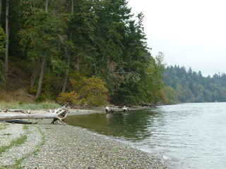 Filename=P1090311.JPG
Filesize=5979KiB
Dimensions=4320x3240
Date added=Oct 05, 2020 P1090311.JPG