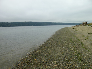 Filename=P1090312.JPG
Filesize=5457KiB
Dimensions=4320x3240
Date added=Oct 05, 2020 P1090312.JPG