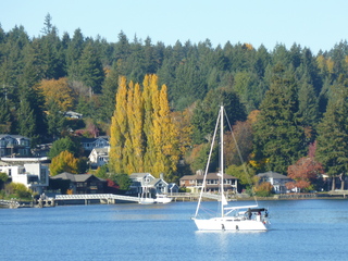 Filename=P1090358.JPG
Filesize=5472KiB
Dimensions=4320x3240
Date added=Nov 01, 2020 P1090358.JPG