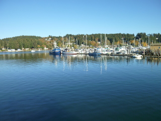 Filename=P1090364.JPG
Filesize=5278KiB
Dimensions=4320x3240
Date added=Nov 01, 2020 P1090364.JPG