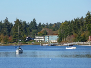 Filename=P1090366.JPG
Filesize=5734KiB
Dimensions=4320x3240
Date added=Nov 01, 2020 P1090366.JPG