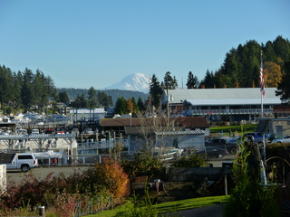 Filename=P1090370.JPG
Filesize=5863KiB
Dimensions=4320x3240
Date added=Nov 01, 2020 P1090370.JPG