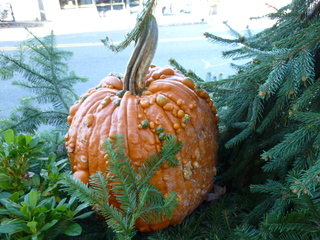 Filename=P1090379.JPG
Filesize=5947KiB
Dimensions=4320x3240
Date added=Dec 28, 2020 P1090379.JPG