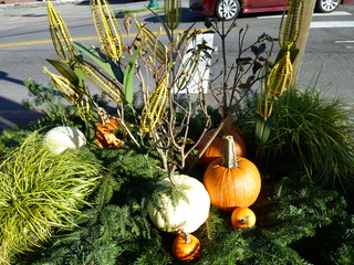 Filename=P1090382.JPG
Filesize=5857KiB
Dimensions=4320x3240
Date added=Dec 28, 2020 P1090382.JPG