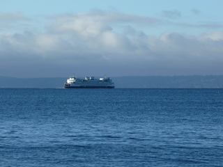 Filename=P1090401.JPG
Filesize=5392KiB
Dimensions=4320x3240
Date added=Dec 28, 2020 P1090401.JPG